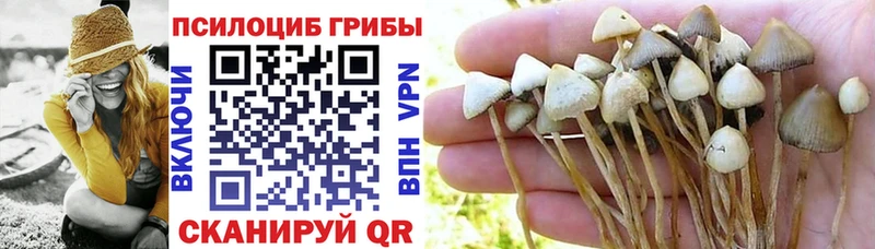 Псилоцибиновые грибы MAGIC MUSHROOMS  Купить где  Ардатов 
