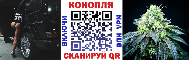 Шишки марихуана White Widow  Купить  Ардатов 